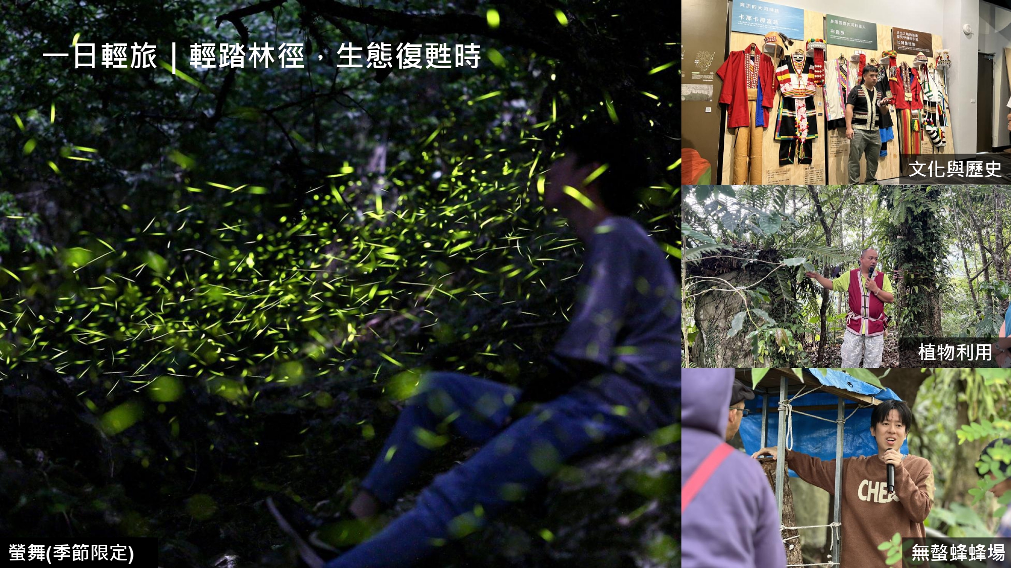 無螫蜂生態導覽